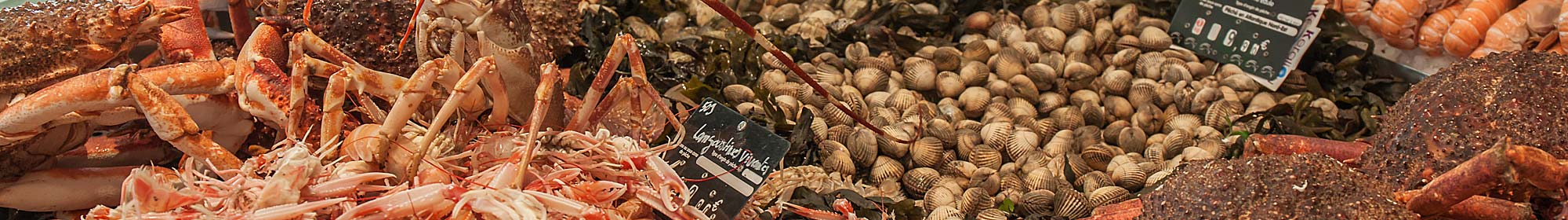 Bandeau fruits de mer