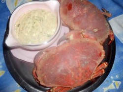 gribiche